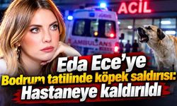 Eda Ece'ye Bodrum tatilinde köpek saldırısı: Hastaneye kaldırıldı