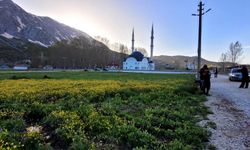 Yüksek Mimar Temiz'den Alanya turizmi için yol haritası