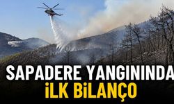 Alanya Sapadere Yangınında İlk Hasar Bilançosu Açıklandı