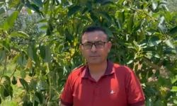 Alanya'nın yeşil elması için çağrı! Erken hasat yapmayın