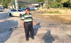 Alanya'nın Dim Vadisi'nde mutlu son