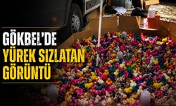 Alanya'da yürek sızlatan görüntü