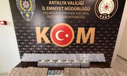 Antalya’da kaçakçılık ve organize suçlara darbe: 12 şüpheli tutuklandı