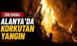 Son dakika - Alanya'da korkutan yangın