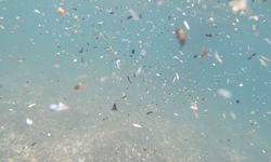 Antalya kıyılarında mikroplastik tehlikesi büyüyor