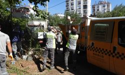 Kepez’de bir evden 5 kamyon çöp çıkarıldı