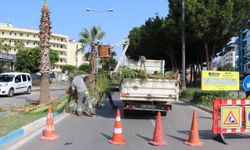 Alanya’nın yeşil dokusuna 7/24 bakım