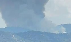 Son dakika - Aydın’da orman yangını