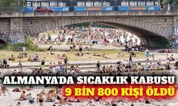 Almanya'da aşırı sıcaklar nedeniyle 9 bin 800 kişi öldü