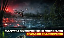 Alanya'da sivrisineğe karşı gambusya balıklı önlem