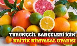 Turunçgil üreticilerine biyolojik mücadele uyarısı yapıldı