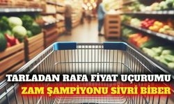 Temmuzda en yüksek fiyat artışı sivri biberde kaydedildi