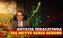 Antalya'nın temmuz ayı ihracatı 205,8 milyon dolar oldu