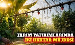 Tarımsal yatırımlarda arazi şartı 2 hektara düşürüldü