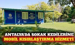 Antalya'da sahipsiz kediler için mobil kısırlaştırma