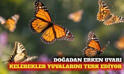 Küresel ısınma kelebeklerin yaşam alanlarını değiştiriyor