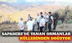 Sapadere'de yanan ormanlar için rehabilitasyon başladı