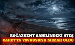 Serik Boğazkent'te yakılan ateşte caretta yavrusu öldü