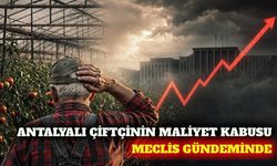 Antalyalı çiftçinin maliyet krizi TBMM gündeminde