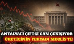 Antalya yayla üreticisinin zararı TBMM gündeminde
