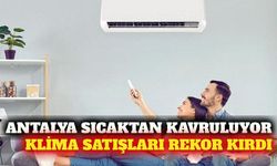Soğutucu satışları rekor kırdı: Antalya ilk sıralarda