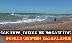 Sakarya, Düzce ve Kocaeli'de denize girişlere hava engeli