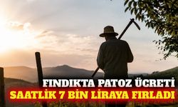 Fındık hasadında patoz ücreti saatlik 7 bin liraya ulaştı