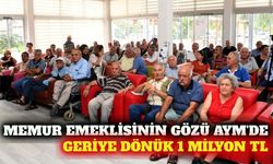 Memur emeklilerinin seyyanen zam davasında AYM süreci