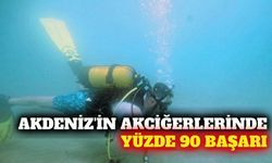 Akdeniz'de deniz çayırı restorasyonunda yüzde 90 başarı
