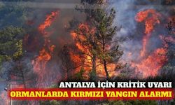 Antalya genelinde 13 Ağustos'a kadar orman yangını alarmı