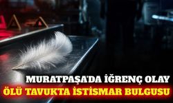 Antalya Muratpaşa'da ölü tavukta istismar şüphesi