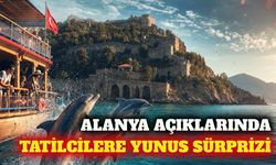 Alanya açıklarında yunuslar tur teknesine eşlik etti