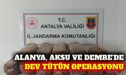 Alanya, Aksu ve Demre'de 785 kilo kaçak tütün ele geçirildi