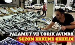 Palamut ve torik av sezonu 15 Ağustos'a çekildi