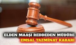 Maaşı elden almayı reddeden müdüre emsal tazminat kararı