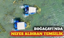 Boğaçayı'nda sucul ot temizleme mesaisi sürüyor