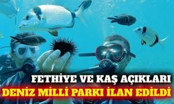 Antalya ve Muğla açıklarına deniz milli parkı statüsü