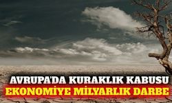 Avrupa'daki kuraklığın ekonomik faturası ağırlaşıyor