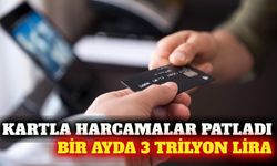 Kartlı ödemeler temmuzda 3 trilyon liraya yaklaştı