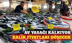 Yeni av sezonunda üç balık türünde bolluk bekleniyor