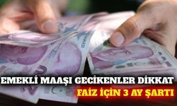 Geciken emekli maaşlarına faiz kararında 3 ay detayı