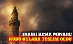 Kaleiçi'ndeki Kesik Minare'yi kuru otlar sardı