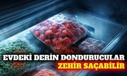 Uzmanından yaz sıcaklarında dondurucu kullanımı uyarısı