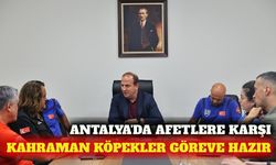 Antalya'da afetlere karşı arama kurtarma köpekli iş birliği