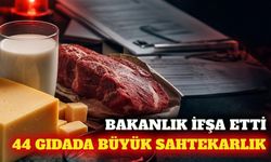 Tarım Bakanlığı 44 hileli gıdayı açıkladı: Süt ilk sırada