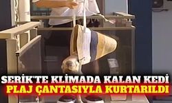 Serik'te klimada kalan kedi plaj çantasıyla kurtarıldı