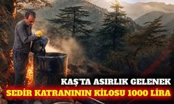 Kaş'ta asırlık gelenek: Kilosu 1000 liradan sedir katranı