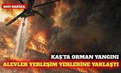 Kaş'ta orman yangını: Havadan ve karadan müdahale sürüyor