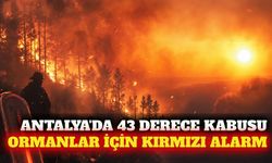Antalya'da 43 derece sıcaklık ve kırmızı yangın alarmı