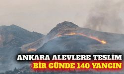 Ankara'da bir günde 140 yangın: Çoğu insan kaynaklı